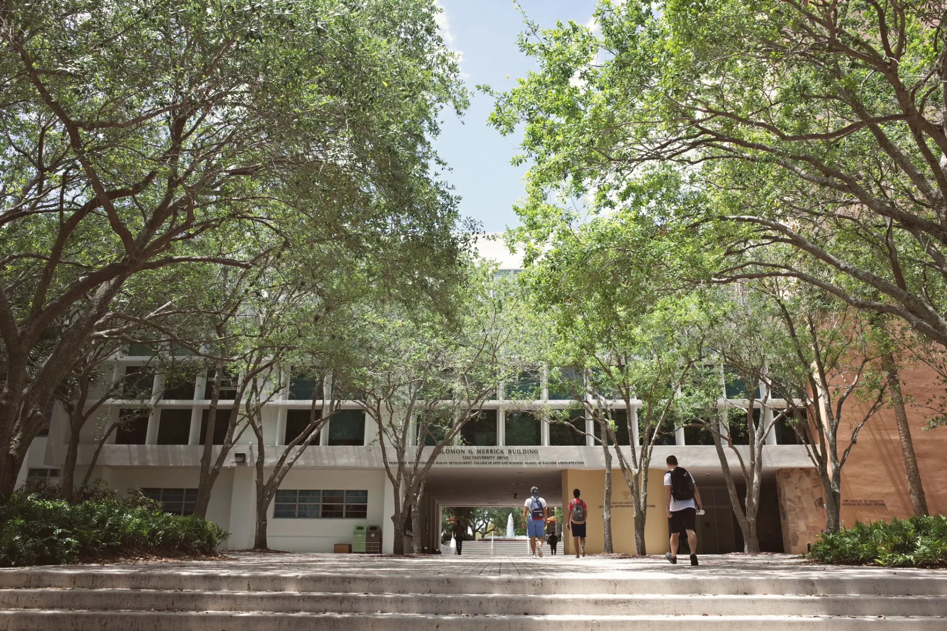Tree-lined university campus walkway with students